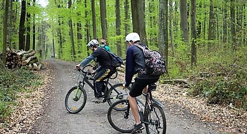 Fahrtechniktraining 1 2018 13